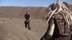 Click to see larger image