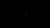 Click to see larger image