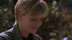 Click to see larger image