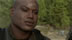 Click to see larger image