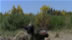 Click to see larger image