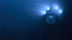 Click to see larger image