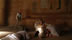 Click to see larger image