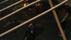 Click to see larger image